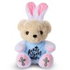 Numyawl Easter Stuffed Animal Teddy Bear with Bunny Ears Headband,