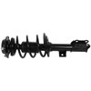 Front and Rear Complete Struts Assembly Shock Absorbers w/Coil Spring