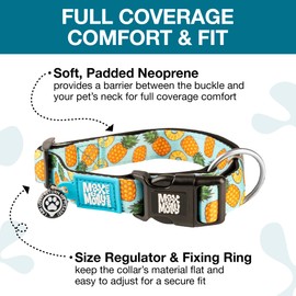 Max & Molly Hundehalsband mit Sicherheits-QR-Code, Hundemarke, weich, verstellbar und wasserdicht, niedliches Sommer-Themen-Design für Mädchen und Jungen, Hunde und Welpen, Größe L, Blaugrün