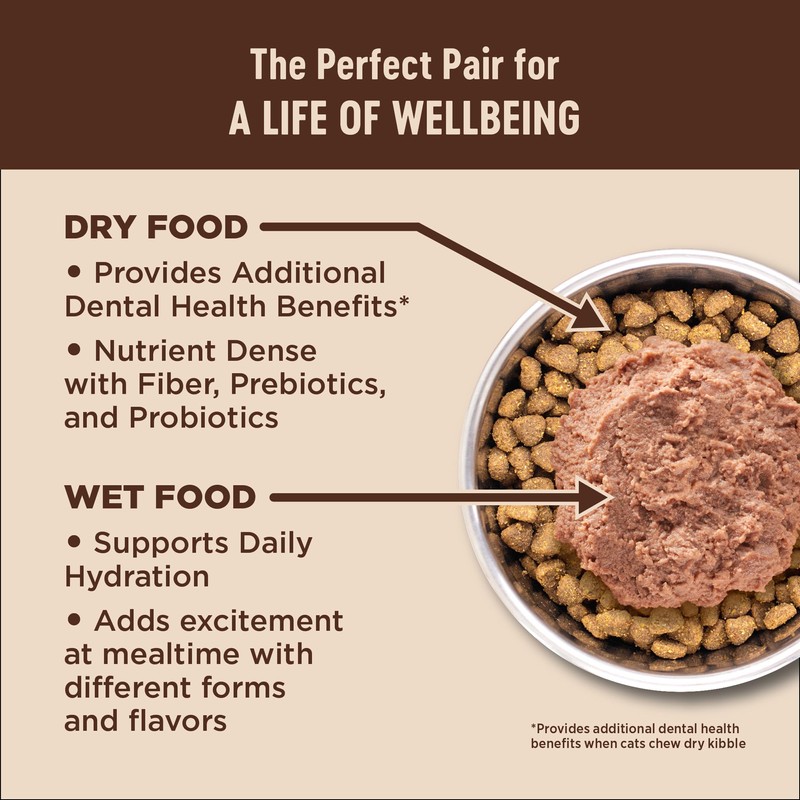 Wellness CORE+ Adult Dry Cat Food for Indoor and Outdoor