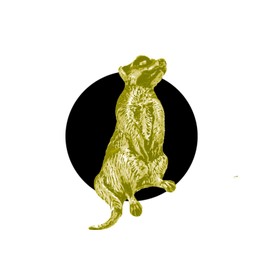 A61 Meerkat CHROME GOLD COLOURED English Pewter on an Air Freshener fits on a Vent Clip Kit Decoration