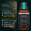Bienat Aromaterapia Aceite Esencial De Eucalipto 30ml