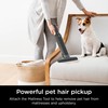 Shark WANDVAC Cordless Hand Vac, Lightweight, Versatile and Portable at