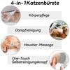 Cat Brush with Steam, 4 in 1 Steam Brush Cat,