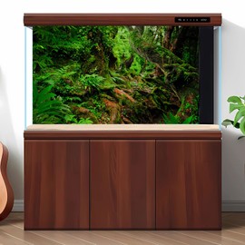 Rainforest Reptile Habitat Background Tropical Jungle Trees with Lush Moss Terrarium Background Giant Tree Roots with Ferns Fish Tank Background Jungle Trees Style Aquarium Background 72x24in