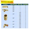 TL TOOLEGIN DOT Brass Push to Connect Fittings 1/4" Air