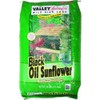 Valley Splendor Black Oil Sunflower Seeds, 40 lbs