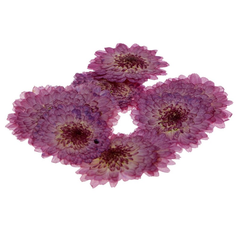 Sue Devitt Silky Sheen E/S - Madrid