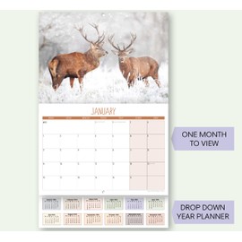 2026 A4 British Wildlife Calendar UK. One Month to View. A3 when open. Wall Calendar by Absolutely Yours.