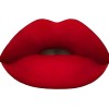 Labial Líquido Mate Intenso De Larga Duración Terramar Red