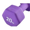 Rainforest Basics Neoprene Coated Dumbbell Hand Weight Set (20-Pound, Set