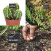 20Pcs Silver Plant Label Hooks, Garden Markers Stake, Plant Sign
