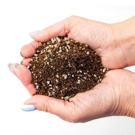 Gardenera Professional Carnivorous Plant Soil - Ready to Use for Venus Flytraps, Sundews, Pitcher Plants, Butterworts | Peat Moss, Coco Coir, Perlite - 4 Quart Bag