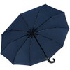 iX-brella Men's Pocket Umbrella Open-Close Automatic Round Hook Handle, Carbon