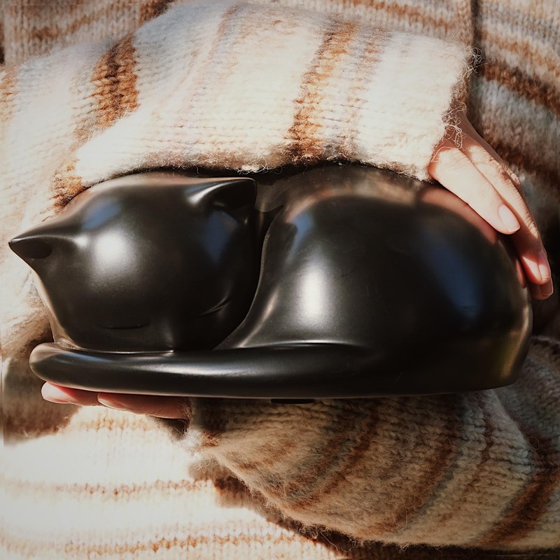 FUFYUKEY Cat Urn, Black Resin, Sleeping Kitty Pet Memorial Keepsake