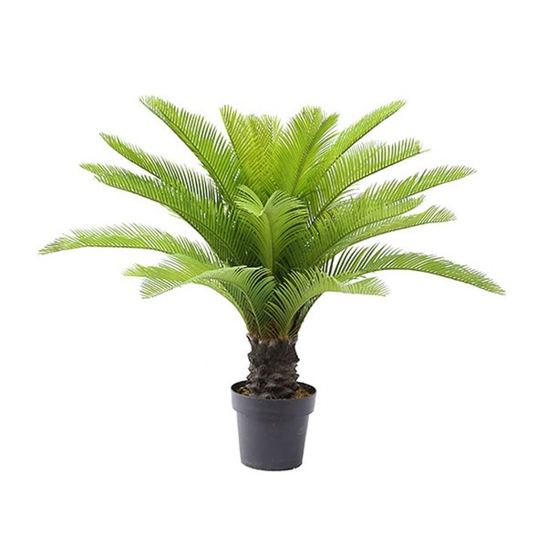 AMERIQUE Gorgeous 3 Feet Cycas Revoluta Sago Palm Tree Artificial Plant with Nursery Pot, Feel Real Technology, 28 Long & Giant Leaves, Green
