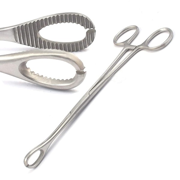 DDP STAINLESS STEEL 'SPONGE FORCEPS CLAMP 'SLOTTED TONGUE BELLY SEPTUM LIP EYEBROW BODY PIERCING TOOLS