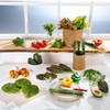 Deco Woerner Decorative Dummy Salad Leaves Set Green Food Dummy