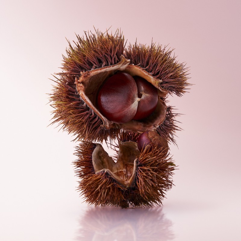 OSULLOC Marron Glace Black Tea 15ea - OSULLOC Marron Glace