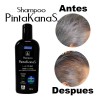 Shampoo Pintakanas 4 Piezas Sin Peroxido Ni Amoniaco