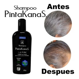 Shampoo Pintakanas 4 Piezas Sin Peroxido Ni Amoniaco