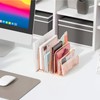gianotter Mail Organizer Countertop, Metal File Holder with 3-Slot, Rose