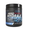 Athenix® Amino Hydra-X Intra-Workout | Blue Raspberry | 9 EAAs