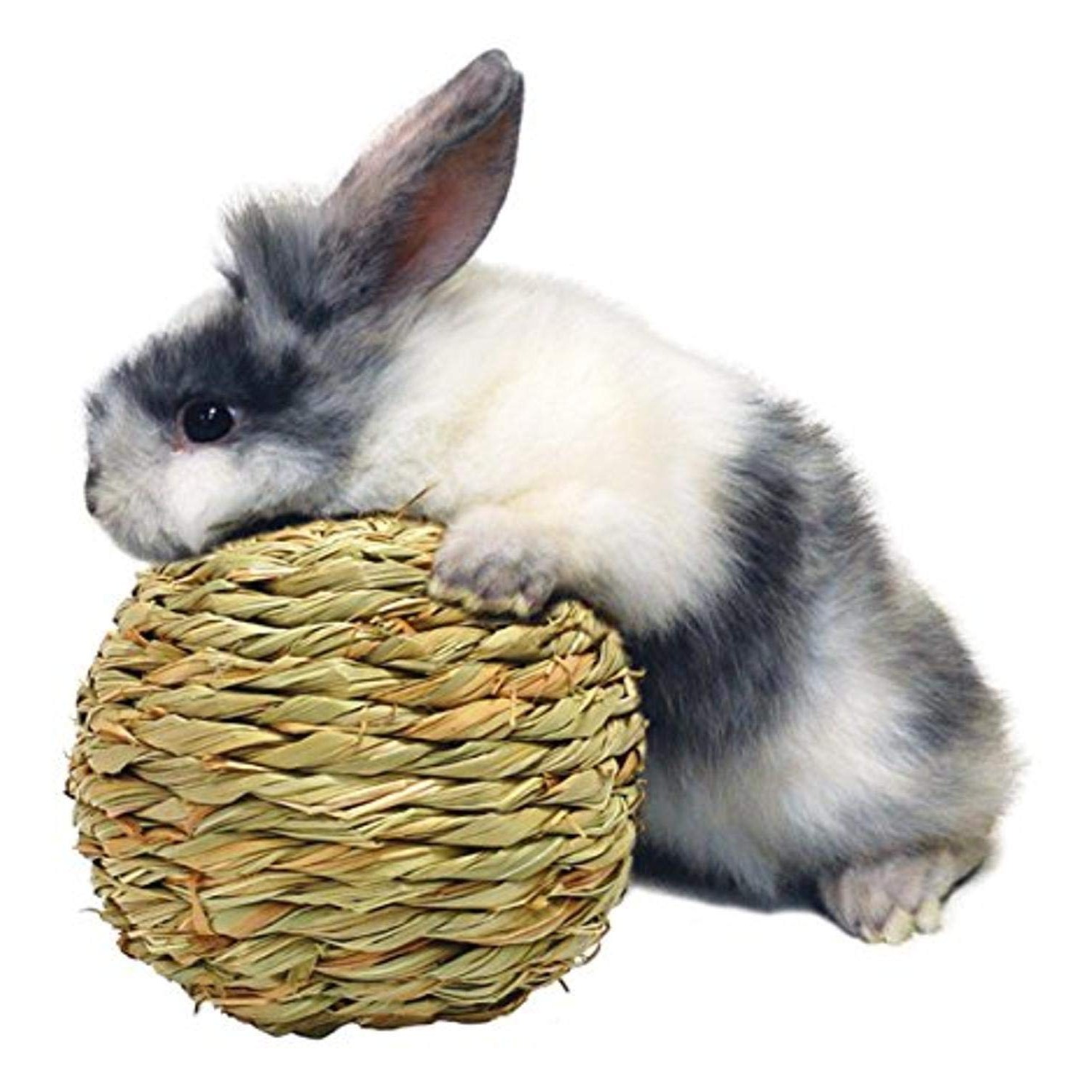 Peter's Woven Grass Play Ball for Rabbits - ibspot.com