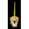 Figuren Shop GmbH Unicorn Fantasy Skull | Gothic Head Sculpture,