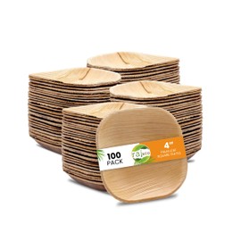 Raj Eco Compostable Palm Leaf Plates Like Bamboo Plates Disposable - 4 Inch Square 100 Party Plates, Natural Wooden, Eco-Friendly, Fancy Biodegradable & Disposable Wedding Picnic Plates