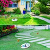 AceOrbit Butterfly Puddler Garden Stone Butterfly Bath Watering Feeder Station