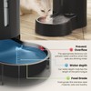 CZPET Automatic Dog and Cat Water Dispenser with Stainless Steel