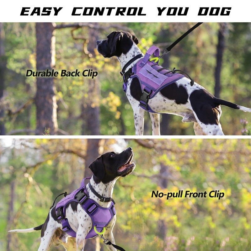 WINGOIN Purple Tactical Dog Harness for Medium Dogs, Heavy Duty