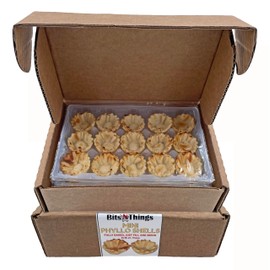 Mini Phyllo (Fillo) Shells | Fully Baked | by Bits N Things | 15 Shells Per Tray (3 Trays)