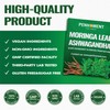 PENHOMENT Moringa Leaf Tea Bags with Ashwagandha - 40 Tea