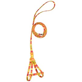 ONS Rainbow Harness Lead #8 Orange (Cats, Ultra Small Dogs)