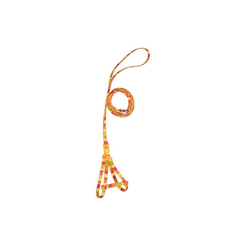 ONS Rainbow Harness Lead #8 Orange (Cats, Ultra Small Dogs)