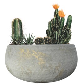 Ludu 12" Shallow Bowl Planter – Decorative Metal Planter with Rustic Aged Brass Finish – Modern Low-Profile Design for Succulents, Cactus & Terrariums – Indoor & Outdoor Use with Anti-Scratch Pads