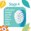 Dr. Talbot's Oral Care Set with Stand; 4-Stage System with