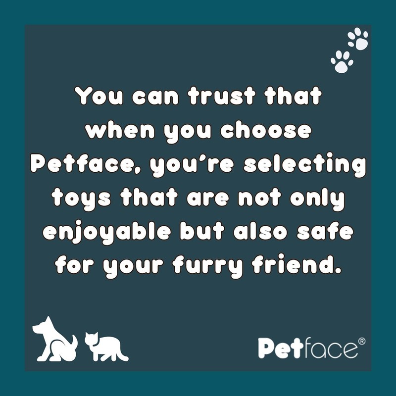 Petface Latex Orange Soft Chew Dog Toy, Small