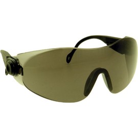 Oregon Safety Glasses