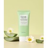 Pamick Pamic [2 pcs] Superfull Veggie Green Water Essence Tone-up