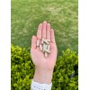 Revitalife Ksm66 Manejo Del Estres 120 Capsulas Ashawagandha