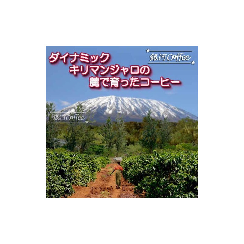 Coffee, Raw Beans, Edelweiss Kilimanjaro, Tanzania, Galaxy Coffee, 8.8 oz