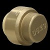 Push Fit 2 Pcs XFITTING Push Fit Cap 1/2 inch,