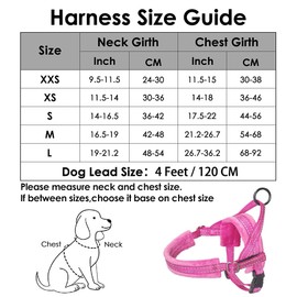 Eyein No Pull Small Dog Harness & Lead, Heavy Duty Easy for Walk Vest Harness Soft Padded Reflective Adjustable Puppy Harness Anti-Twist Pet Lead Quick Fit for Small Dog Cat Animal (xxs, pink)