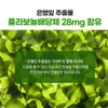 루체메디 징코 프리미엄 은행잎 추출물 셀레늄 혈행개선 기억력개선, 100정, 2개