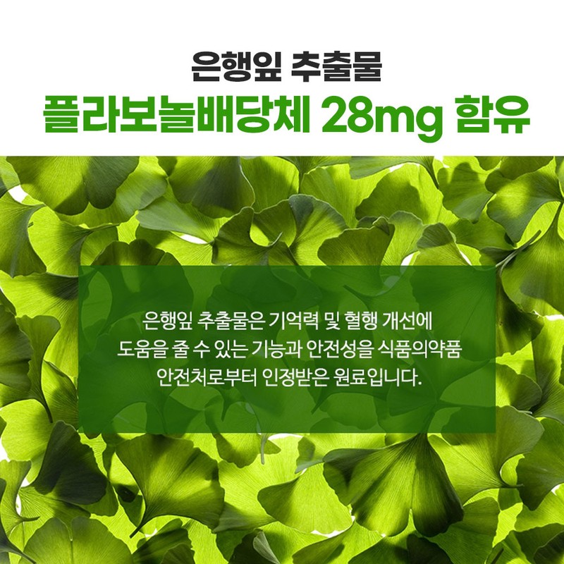 루체메디 징코 프리미엄 은행잎 추출물 셀레늄 혈행개선 기억력개선, 100정, 2개