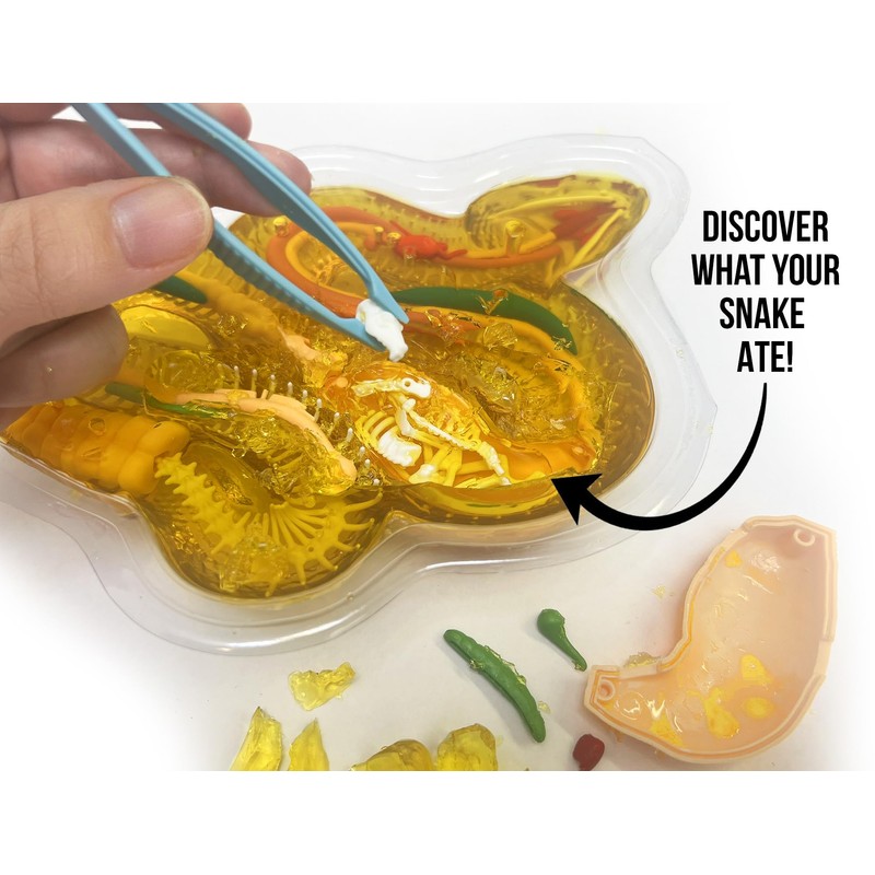 Dissect It - Rattlesnake Super Lab