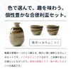 Setomonohonpo Stylish Sake Bottle Set with 10 Colors to Choose